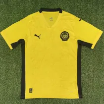 25/26 Malaysia Home  Fans Soccer Jersey