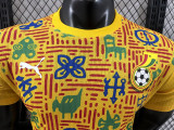 24/25 Ghana Yellow  Player Version Pre Match Training Shirts