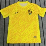 2024  France Goalkeeper Yellow  Fans Soccer Jersey