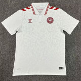2024 Denmark Away Fans Soccer Jersey(胶章)