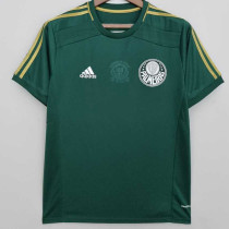 2014/2015 Palmeiras Home Retro Soccer Jersey