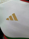 24/25 Algeria White Green Player Version Soccer Jersey