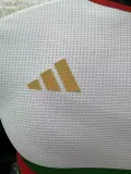 24/25 Algeria White Green Player Version Soccer Jersey
