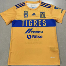 2023 Tigres UANL Yellow Champion Edition Fans Soccer Jersey