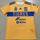 2023 Tigres UANL Yellow Champion Edition Fans Soccer Jersey
