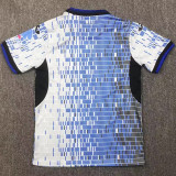 24/25 Atalanta Christmas Special Edition Fans Soccer Jersey