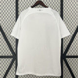24/25 Uruguay White Special Edition  Fans Soccer Jersey