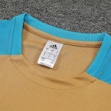24/25 Argentina Mud Yellow Training Short Suit