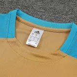 24/25 Argentina Mud Yellow Training Short Suit