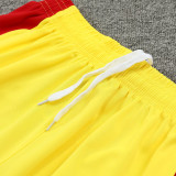 24/25 LIV Yellow & Red Training Short Suit