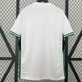 24/25 Nigeria Home Fans Soccer Jersey