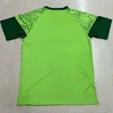 24/25 Palmeiras Grass Green Training shirts