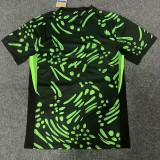 24/25 Nigeria Green Black Fans Soccer Jersey