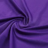 24/25 Germany Purple Training Short Suit