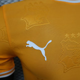 24/25 Cote d'Ivoire Orange Special Edition Player Version Soccer Jersey