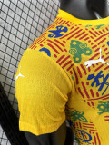 24/25 Ghana Yellow  Player Version Pre Match Training Shirts