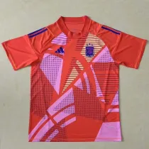 24/25 Argentina Orange Goalkeeper Fans Soccer Jersey