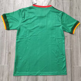 2022 Cameroon Home Fans Soccer Jersey