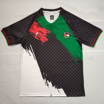 25/26 Palestino Deportivo Grey Black Fans Soccer Jersey