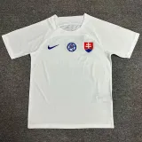 2024 Slovakia Away  Fans Soccer Jersey