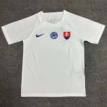 2024 Slovakia Away  Fans Soccer Jersey