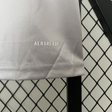 24/25 Atletico Mineiro Grey Training shirts