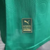 24/25 Palmeiras Home Player Version Soccer Jersey