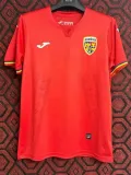 24/25 Romania Away Fans Soccer Jersey