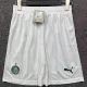 25/26 Palmeiras Home Shorts Pants