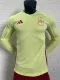 2024 Spain Away  Long Sleeve Player Version Soccer Jersey(长袖)