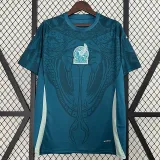 24/25 Mexico Green Training shirts