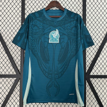 24/25 Mexico Green Training shirts