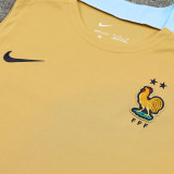 24/25 France Mud Yellow Tank top and shorts suit