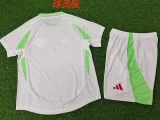 24/25  Algeria Home Version  Kids Soccer Jersey球员
