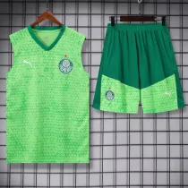 24/25  Palmeiras White Green Tank top and shorts suit（白绿）