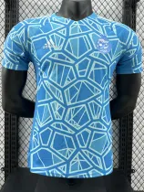 24/25 Algeria Blue Check Player Version Soccer Jersey