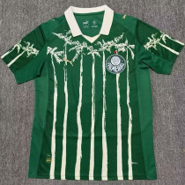 25/26 Palmeiras Green Special Edition Fans Soccer Jersey