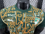 24/25 Cote d'Ivoire Green Special Edition  Player Version Soccer Jersey