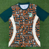 24/25 Cote d'Ivoire Green Training Shirts