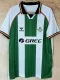 25/26 Real Betis Home Fans Soccer Jersey
