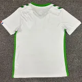 24/25 Saint Etienne Away Fans Soccer Jersey