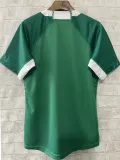 2025 Ireland Home Rugby Jersey