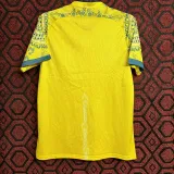 24/25 Australia Home  Fans Soccer Jersey