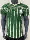 25/26 Palmeiras Green Special Edition  Player Version Soccer Jersey