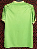 24/25 Japan Green Wukong version Fans Soccer Jersey