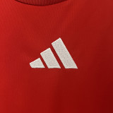 2024 Hungary  Home Fans Soccer Jersey