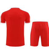 24/25 Bayern Red Training Short Suit