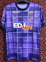 25/26 Sanfrecce Hiroshima Home Fans Soccer Jersey 广岛三箭
