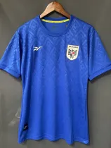 24/25  Panama Blue Fans Soccer Jersey（圆领）