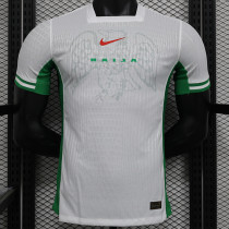 24/25 Nigeria Home Player Version Soccer Jersey